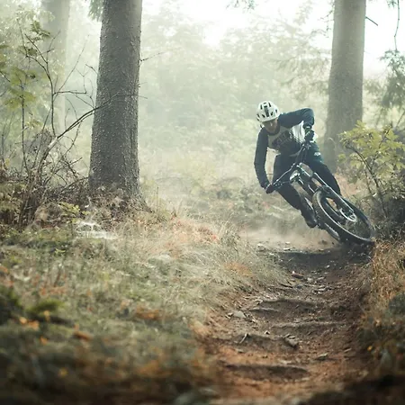 Welcome In - Mit Ski- Und Fahrradabstellraum, Ruhig Gelegen Апартаменты Винтерберг